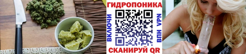 Купить закладки  Наро-Фоминск  Canna-Cookies конопля 