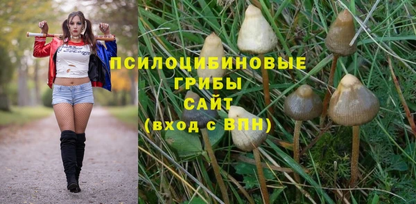 соль ск Тында
