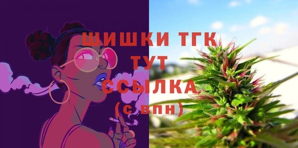 крисы Каменногорск