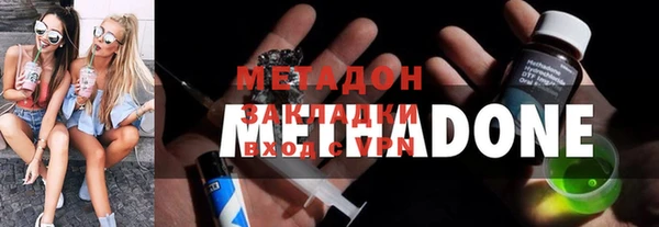 прущие грибы Каменка