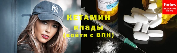 прущие грибы Каменка