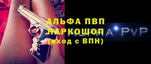 прущие грибы Каменка