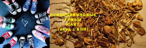 крисы Каменногорск