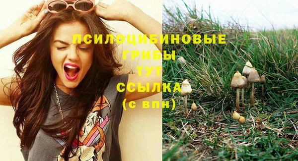 прущие грибы Каменка