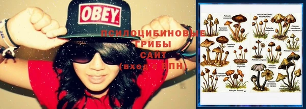 прущие крисы Каменск-Шахтинский