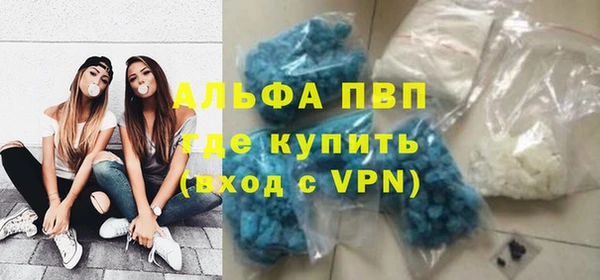 прущие грибы Каменка