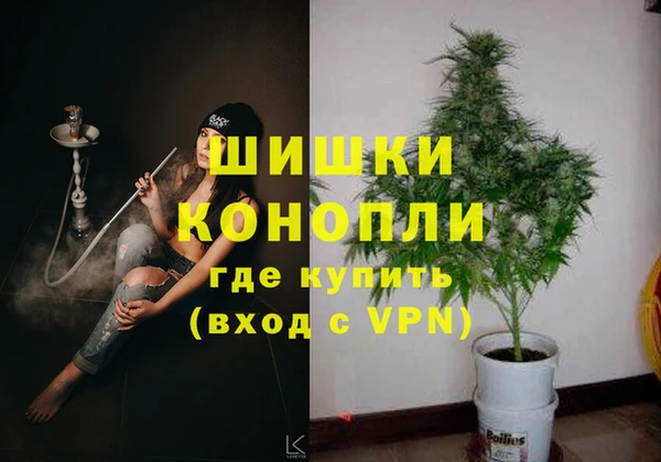 прущие грибы Каменка
