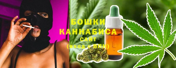 прущие грибы Каменка