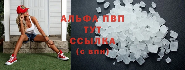 прущие грибы Каменка